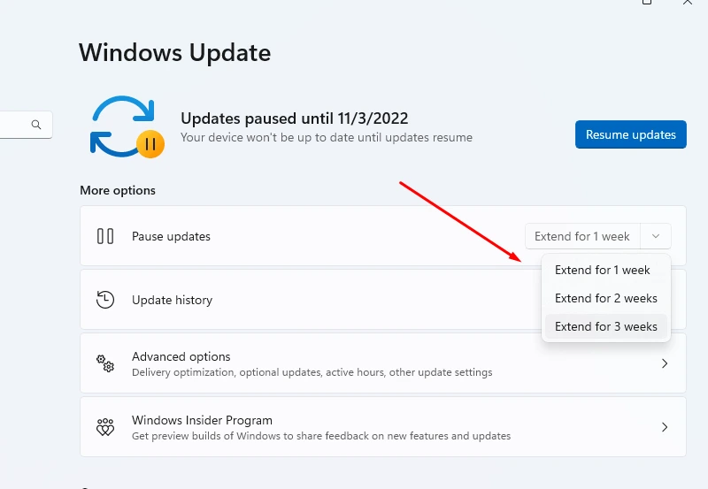Windows 11 Pause Updates